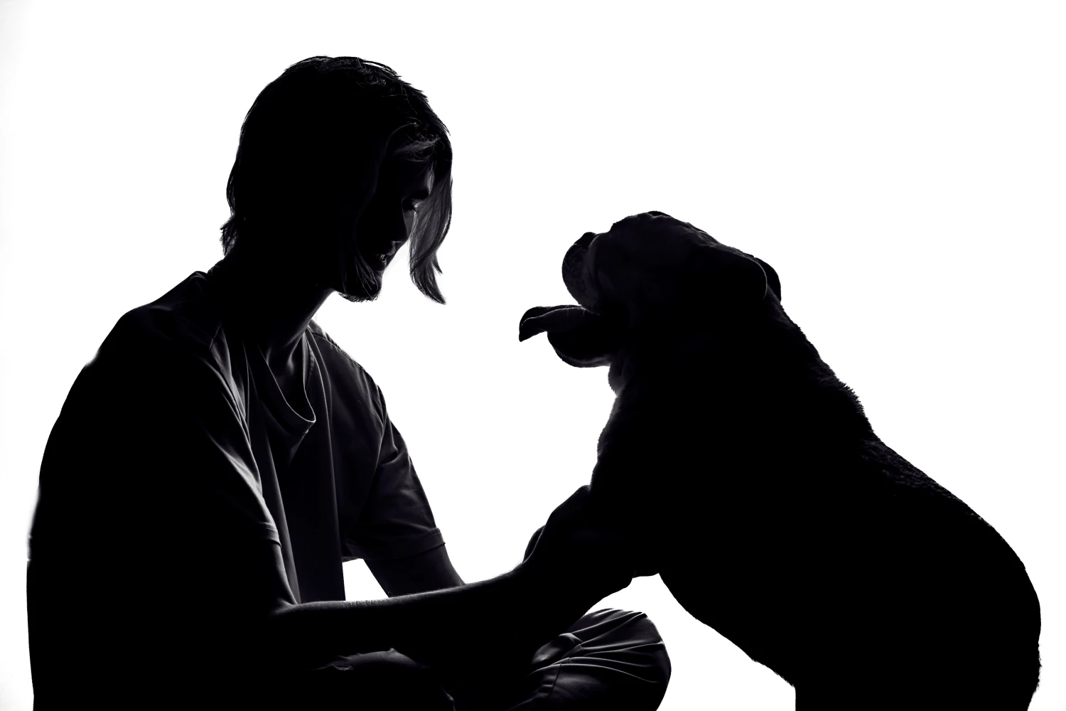 Séance photo complice avec son chien en extérieur